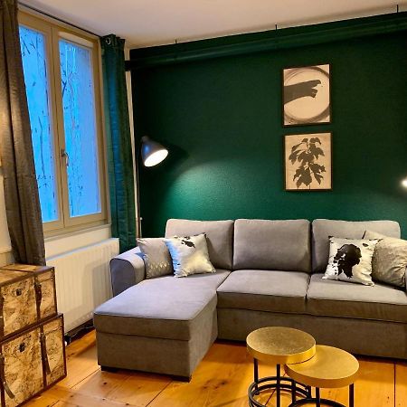 Appartements Des 2 Tetes Кольмар Экстерьер фото