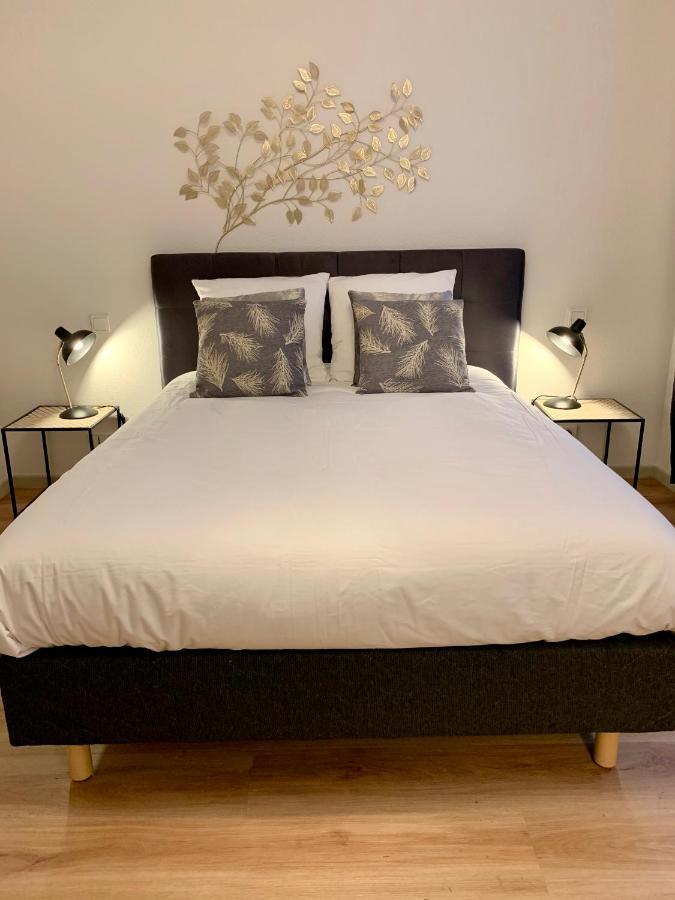 Appartements Des 2 Tetes Кольмар Экстерьер фото
