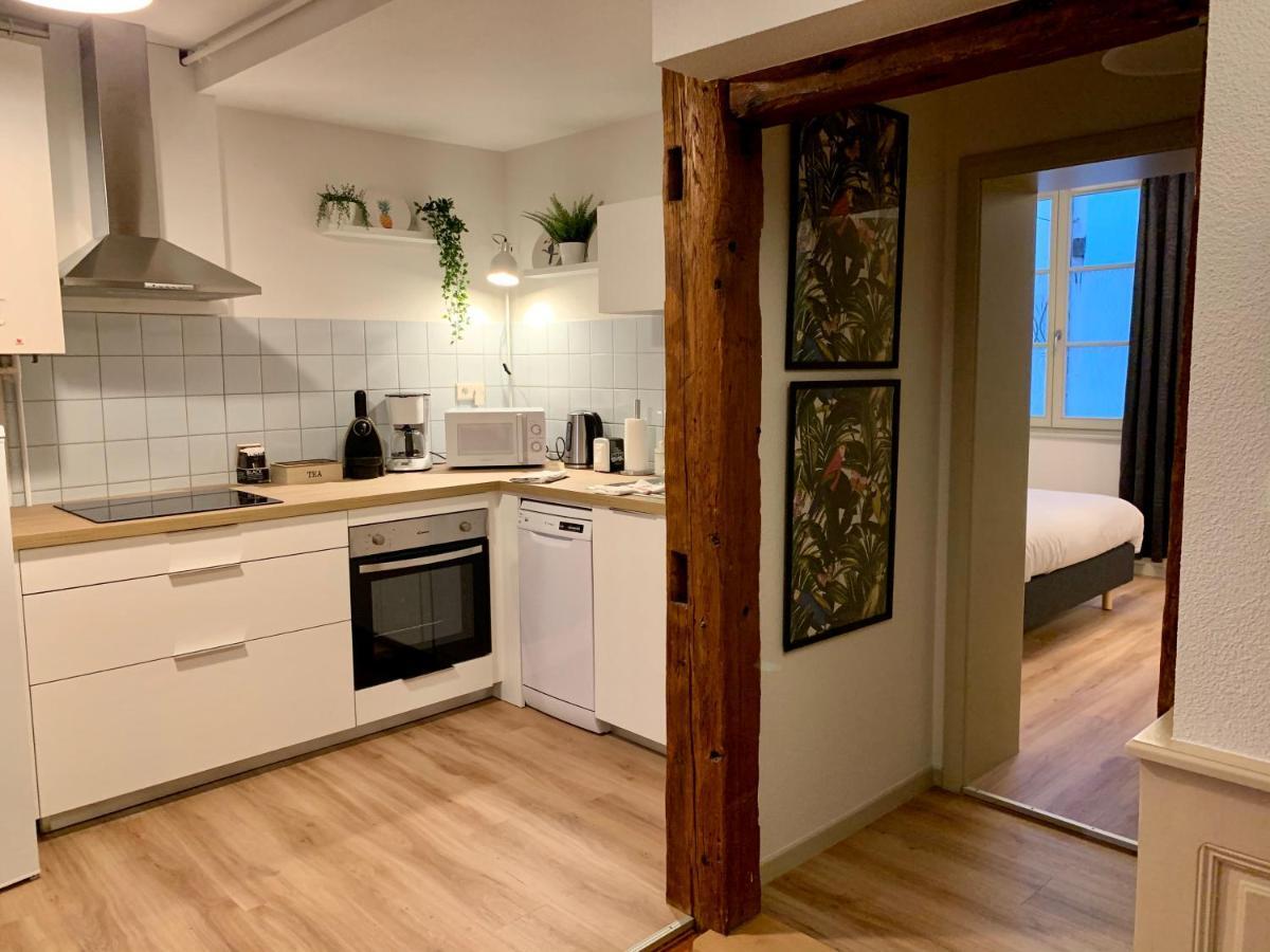 Appartements Des 2 Tetes Кольмар Экстерьер фото