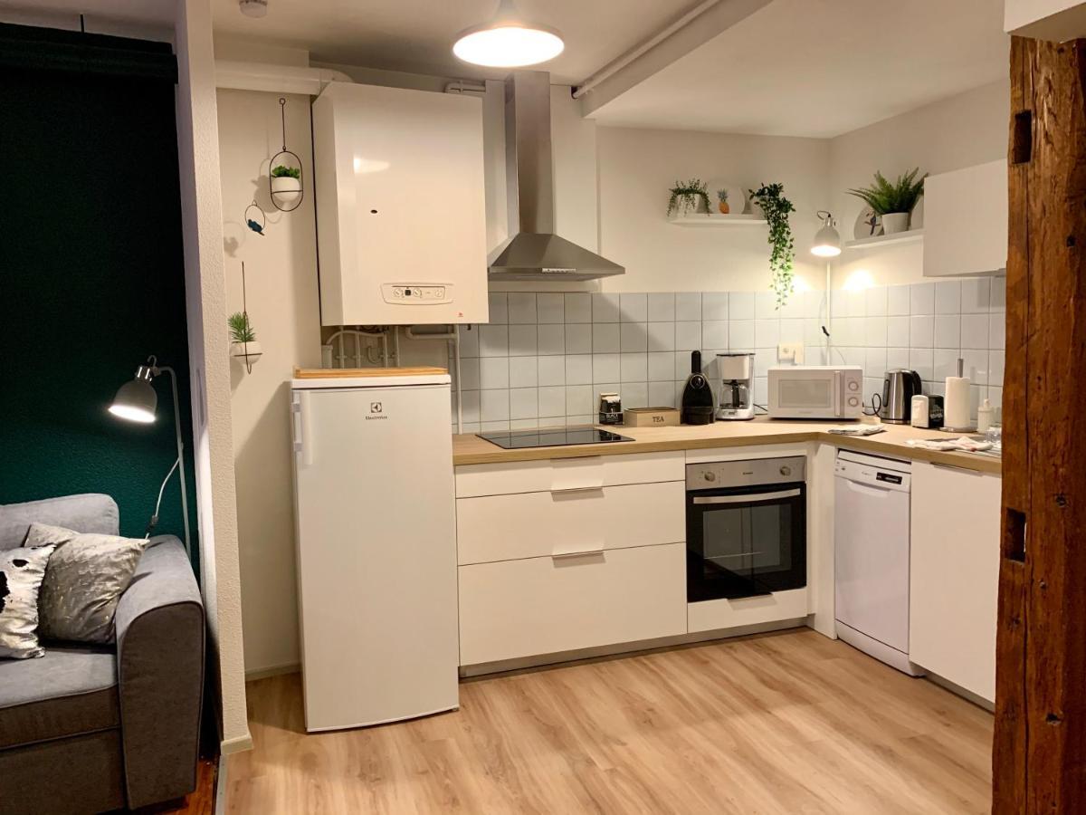 Appartements Des 2 Tetes Кольмар Экстерьер фото